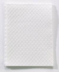 TOWELS PROF 2 PLY WHITE POLY BACKED