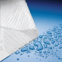TOWELS PROF 2PLY PLASBAK T/P WHITE
